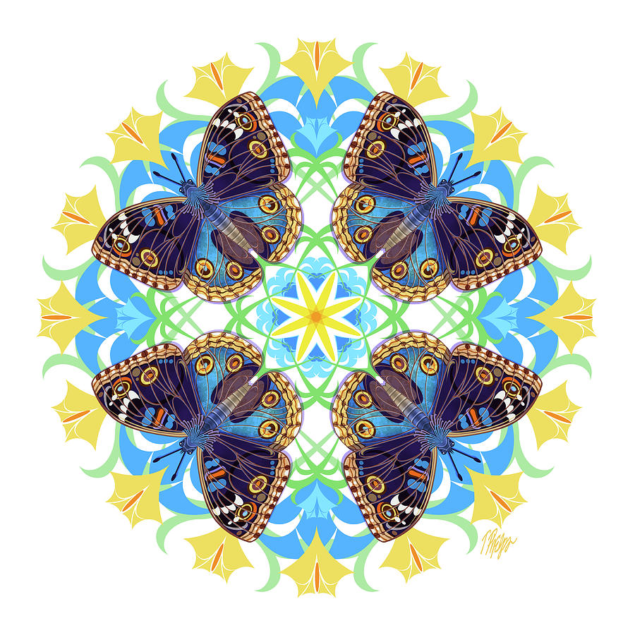 Blue Buckeye Butterfly Art Print