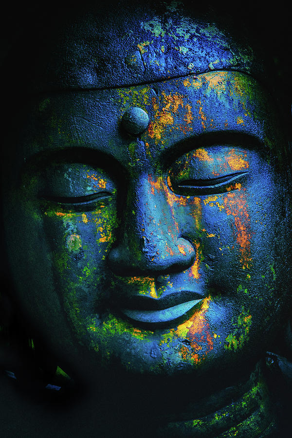 Blue Buddha Photograph by Louise Tanguay