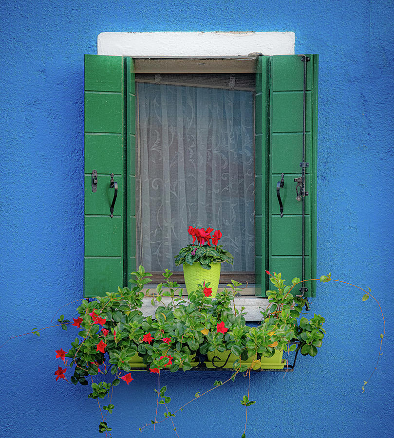 Blue Burano Window Photograph by David Downs