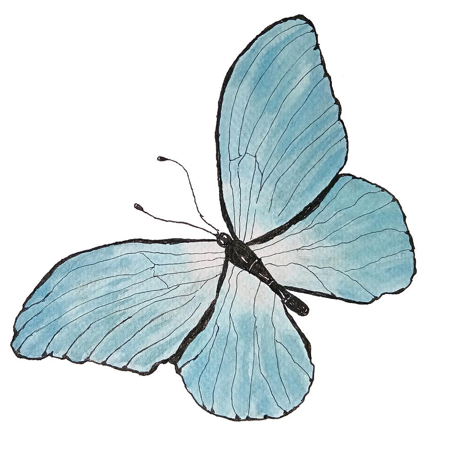 Butterfly Painting - Blue Butterfly by F Ritus