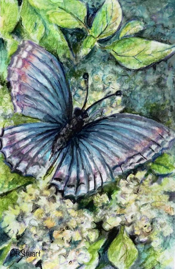 Blue Butterfly Painting by GR Stuart - Fine Art America