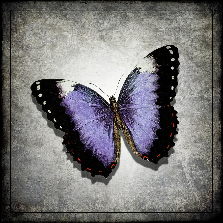 Blue Butterfly Digital Art by Irene Moriarty