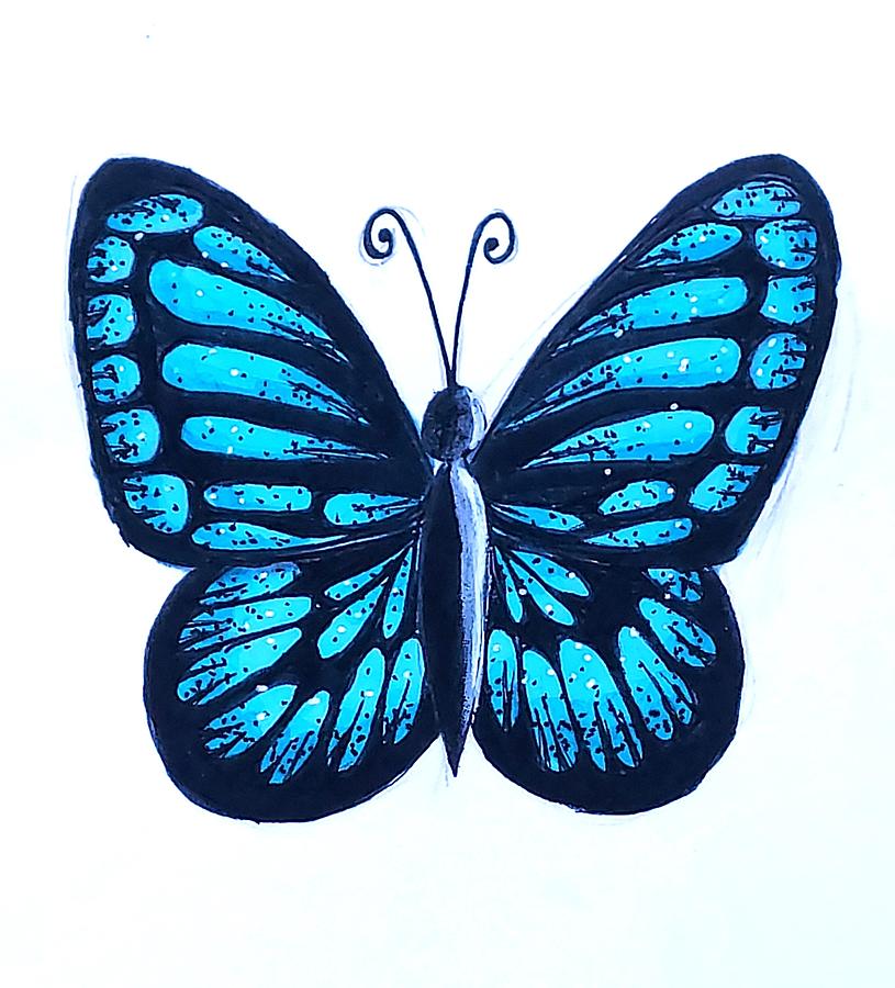 Butterfly Drawing, butterfly, blue, insects png | PNGEgg
