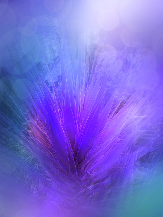 Blue Cactus Magic Digital Art by Terry Davis