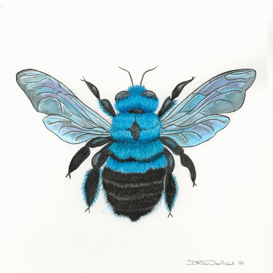 Blue Carpenter Bee Painting by D J Woollard - Fine Art America