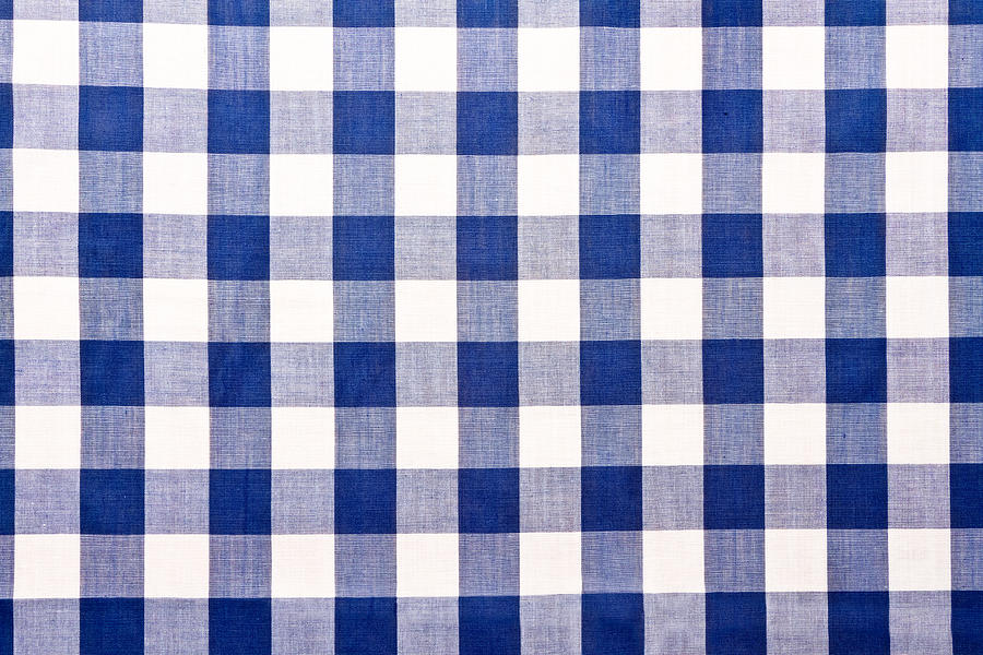 Blue Checkered Gingham Table Cloth Photograph by Grandriver
