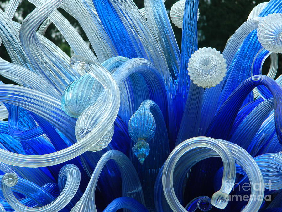 Blue Chihuly Photograph by Tina M Powell - Fine Art America