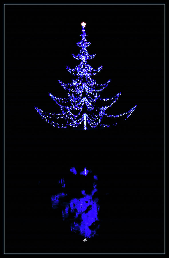 Christmas Photograph - Blue Christmas by Claudia OBrien