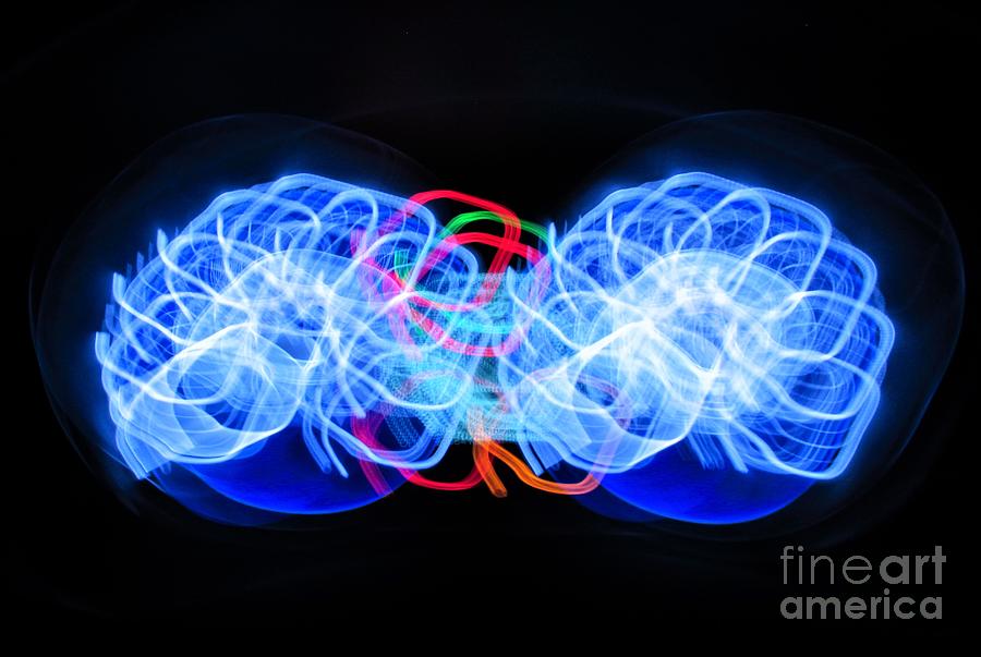 Abstract Photograph - Blue Chrysanthemums by Rick Maxwell
