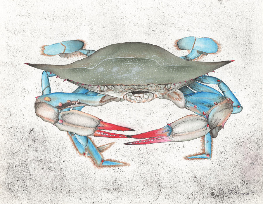 Blue Crab #1 Painting by Bob Labno