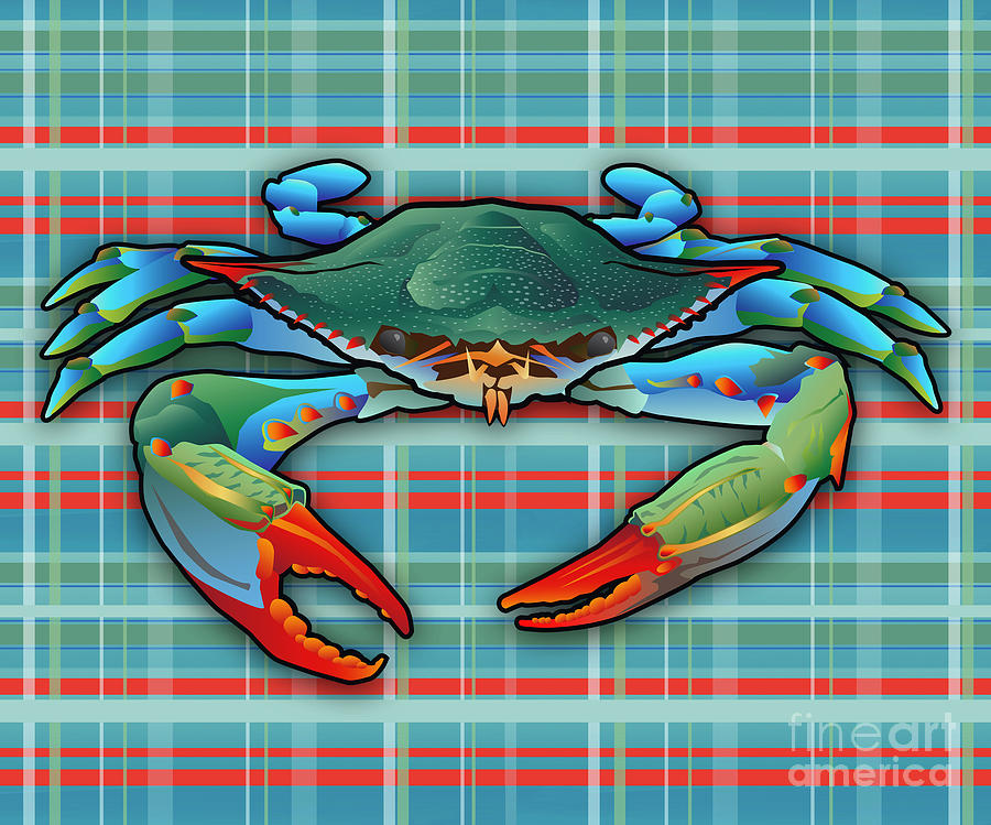 Pattern Digital Art - Blue Crab Plaid by Joe Barsin Pattern Digital Art - Blue Crab Plaid by Joe Barsin