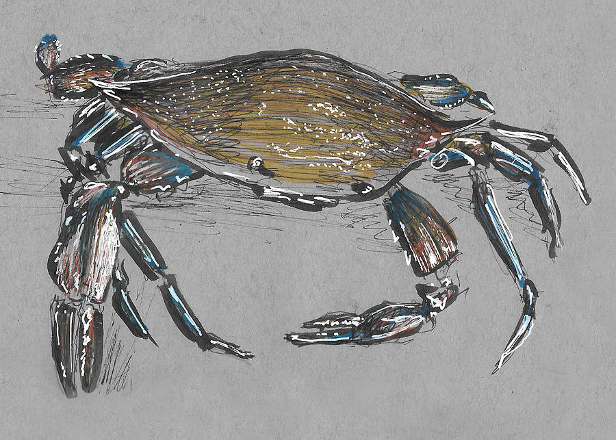 Blue Crab Painting by Thomas Hamm
