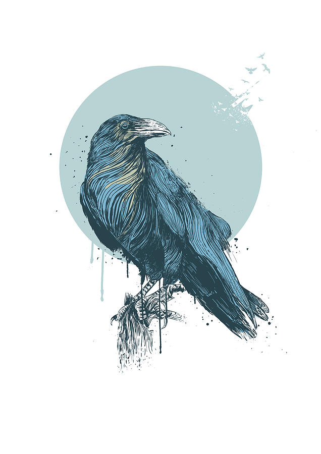 Bird Drawing - Blue crow by Balazs Solti