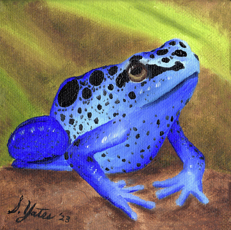 Blue Dart Frog Painting By Stephanie Yates - Fine Art America