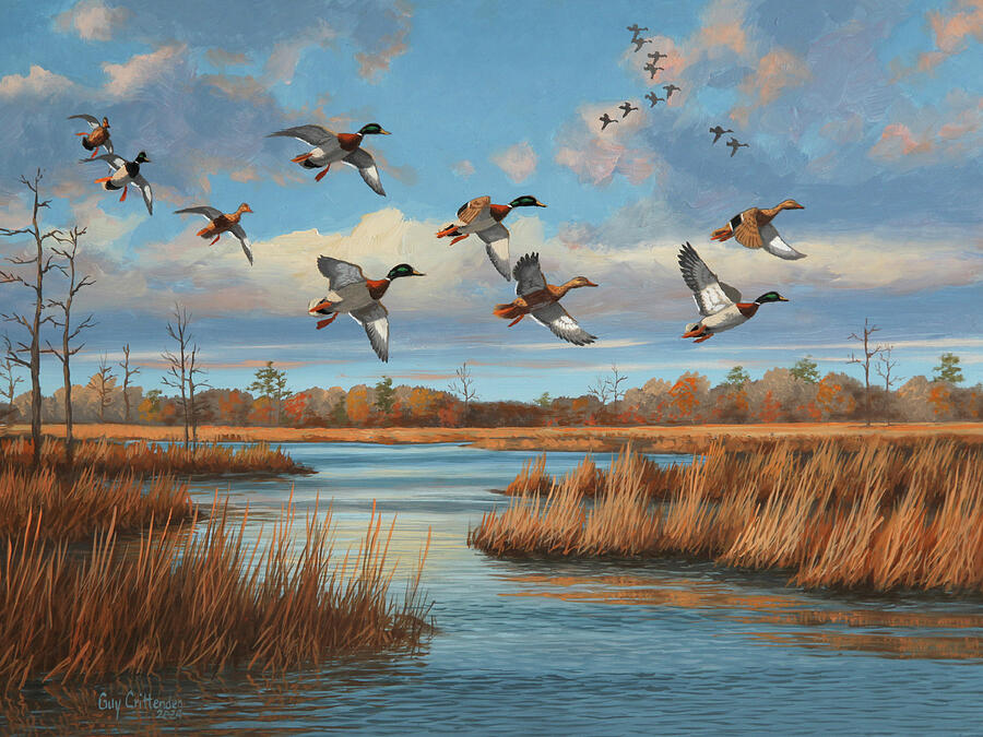 Blue Day Mallards Painting by Guy Crittenden