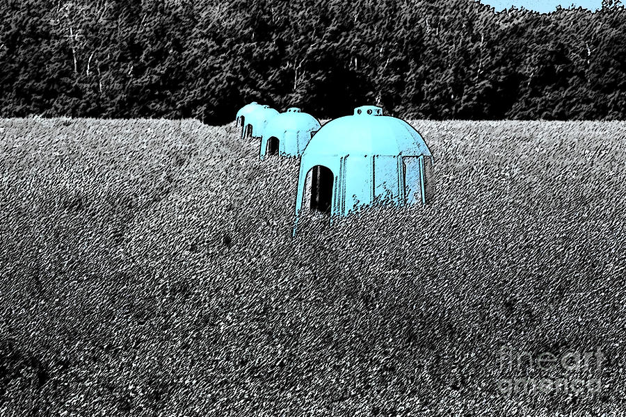 Blue Domed Beehives Photograph