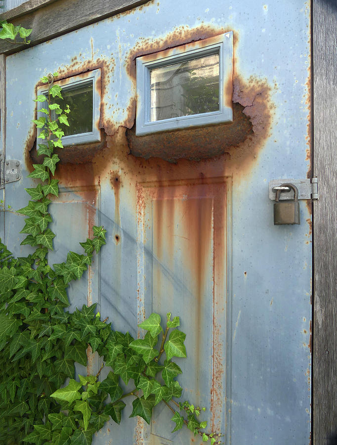 Blue Door Rust and Ivy Photograph by Sharon Williams Eng