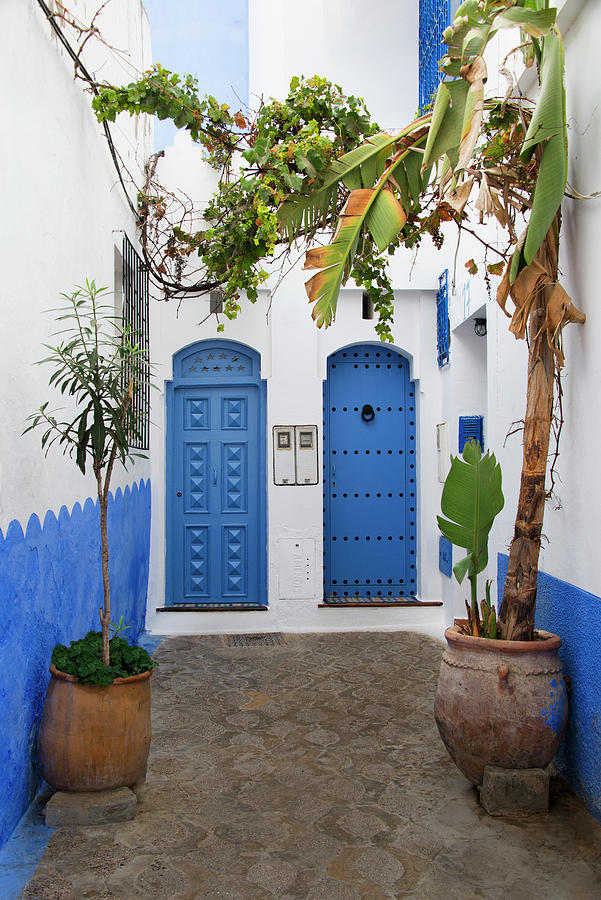 Blue Doors, Asilah Morocco 2017 Photograph by Michael Chiabaudo