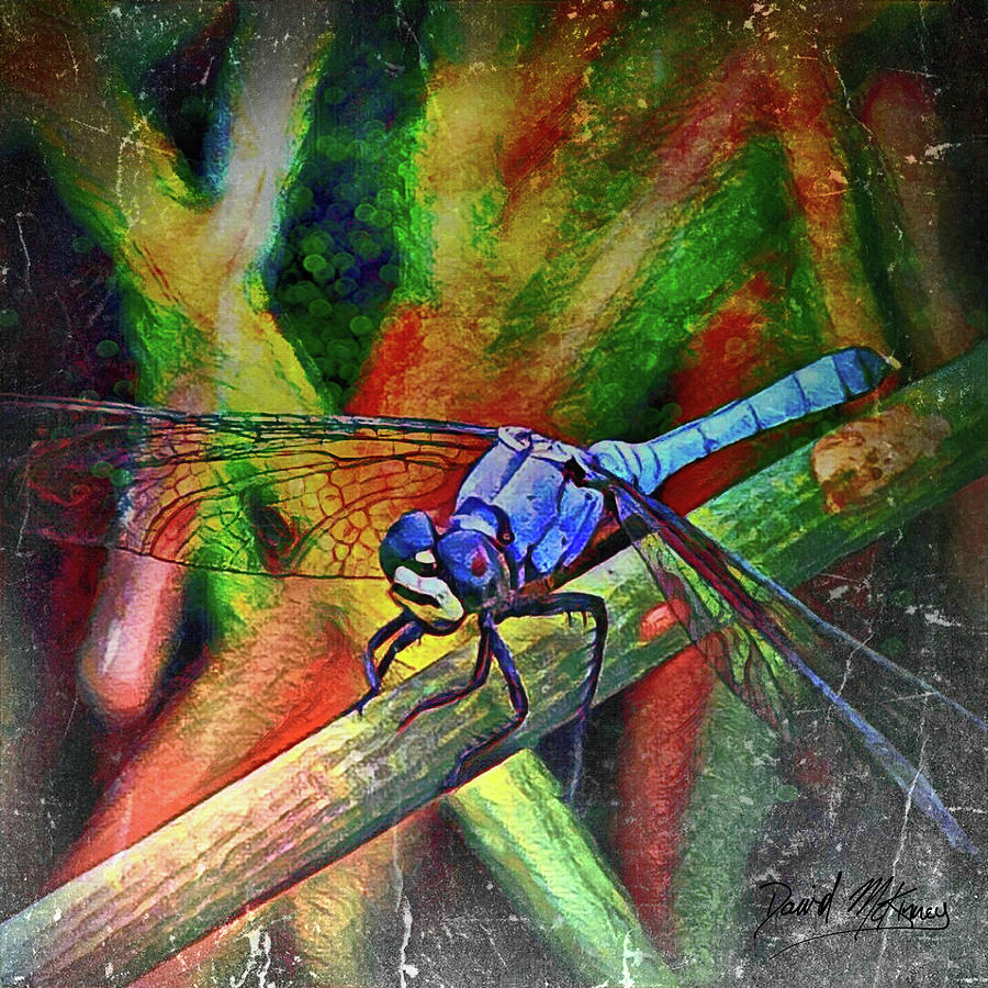 Nature Digital Art - Blue Dragonfly by David McKinney