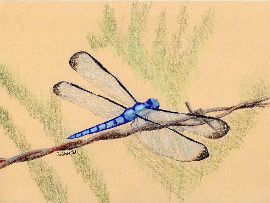 Blue Dragonfly Drawing by Katrina Gunn