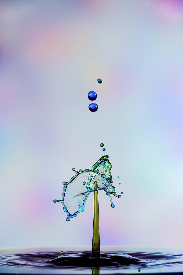 Blue Drops Photograph by Sue Leonard