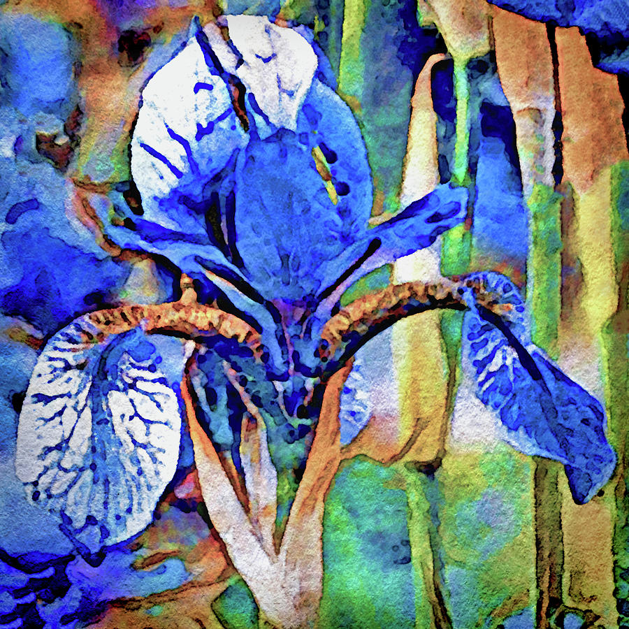 Blue Dutch Iris Painting by Susan Maxwell Schmidt