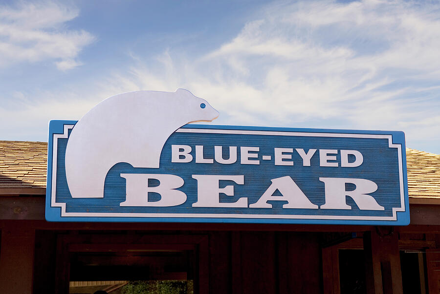 Blue Eyed Bear Sedona Arizona Photograph by Bob Pardue