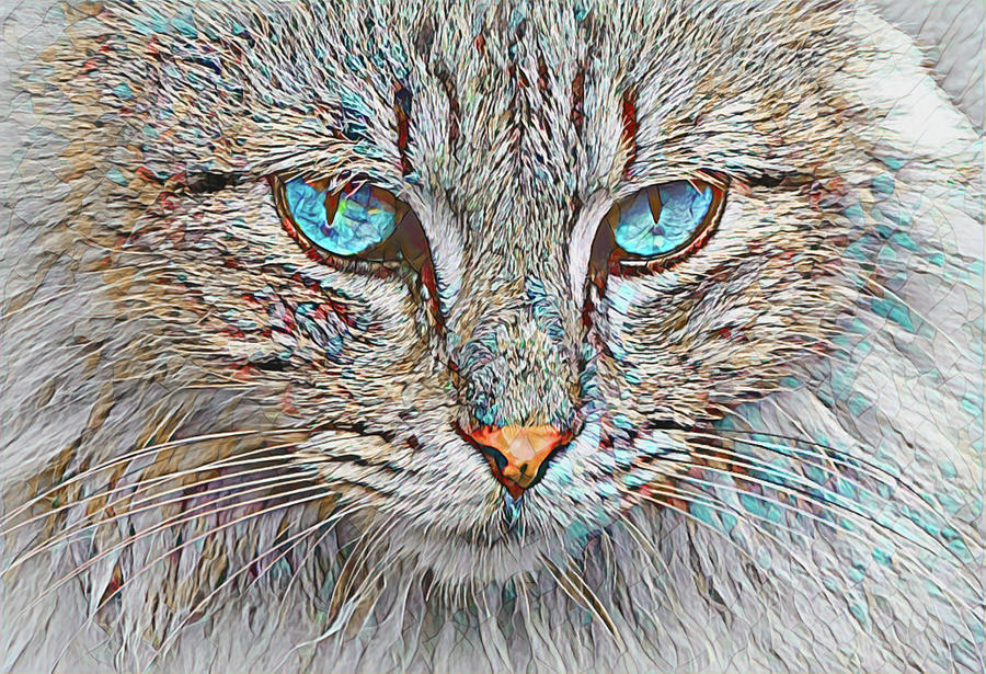 Blue Eyed Kitty Mixed Media by Deborah League