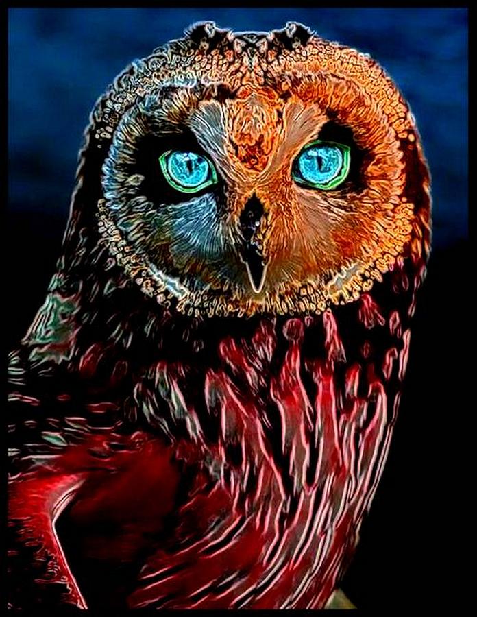 Blue Eyed Owl Digital Art by Michael Todd - Fine Art America