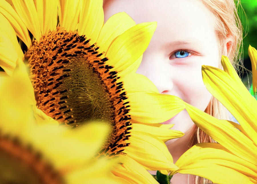 Blue eyes and sunflower Photograph by Bob Orsillo