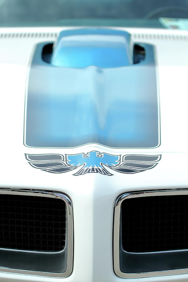 Blue Firebird Photograph by Lens Art Photography By Larry Trager
