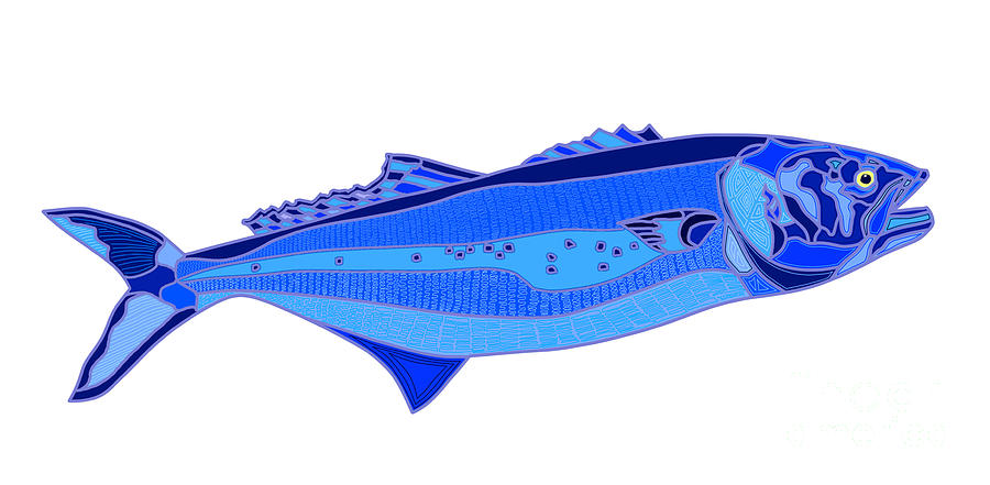 Blue Fish Digital Art by Robert Yaeger