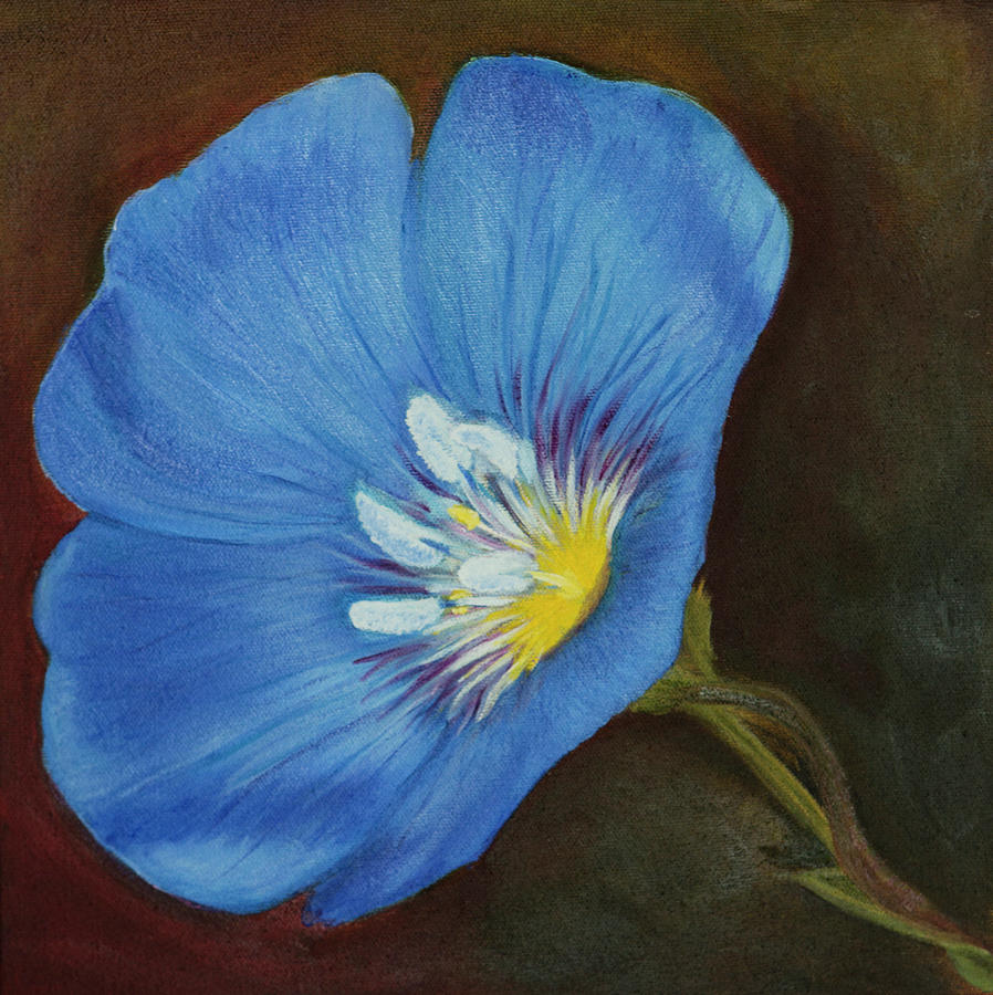 Blue Flax Blossom in Oil Photograph by Iris Richardson