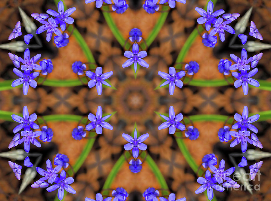 Blue Floral Hexagonal Pattern Mixed Media