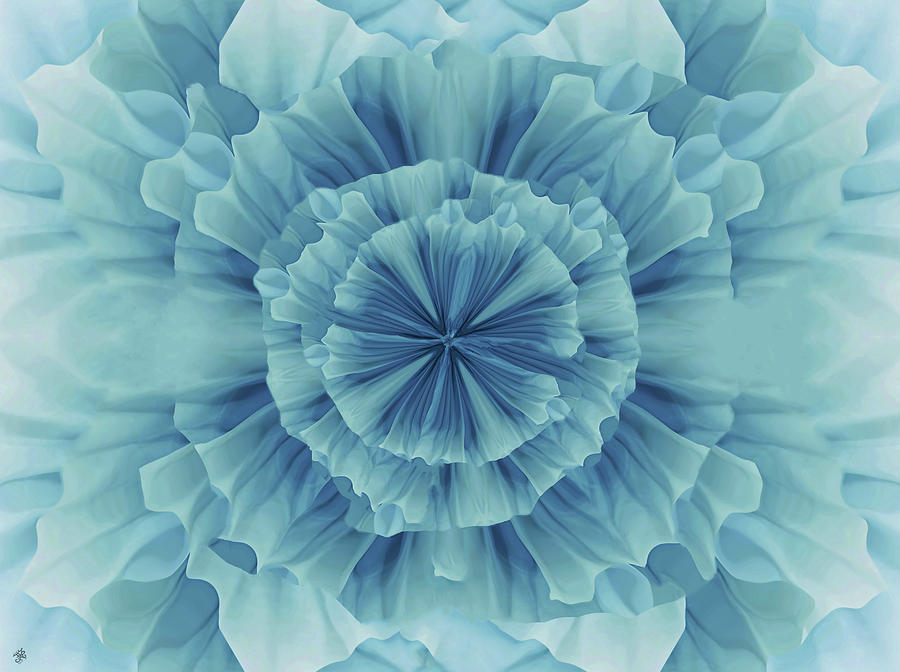 Blue Flower Abstract Photograph by Ginger Repke