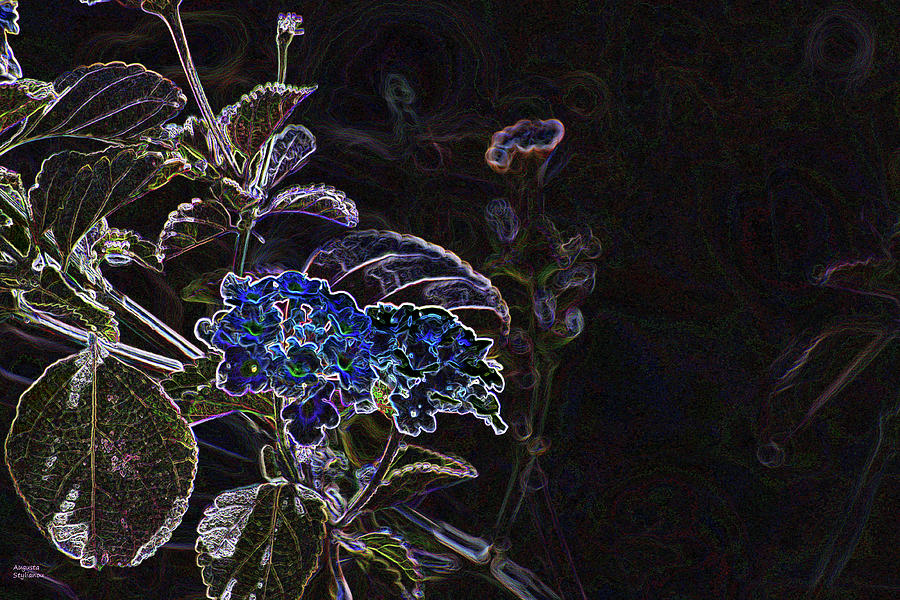 Blue Flower Digital Art by Augusta Stylianou