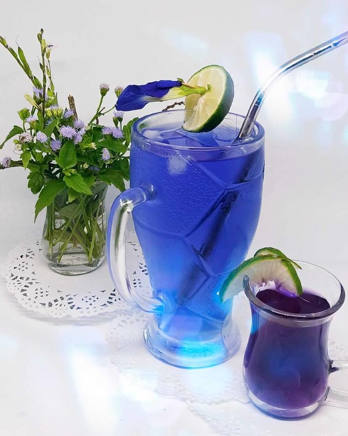 Blue Flower Drink Photograph by Ma Udaysree