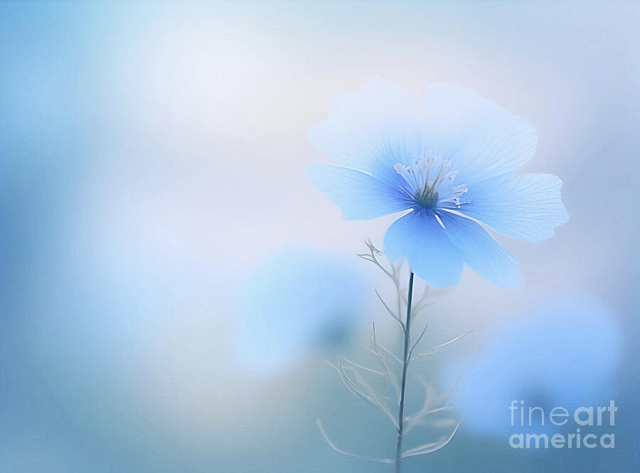 Blue Flower Photograph by Lynn Bolt