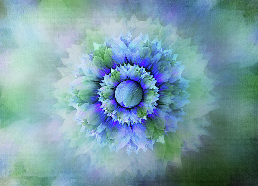 Blue Flower Mandala Digital Art by Terry Davis