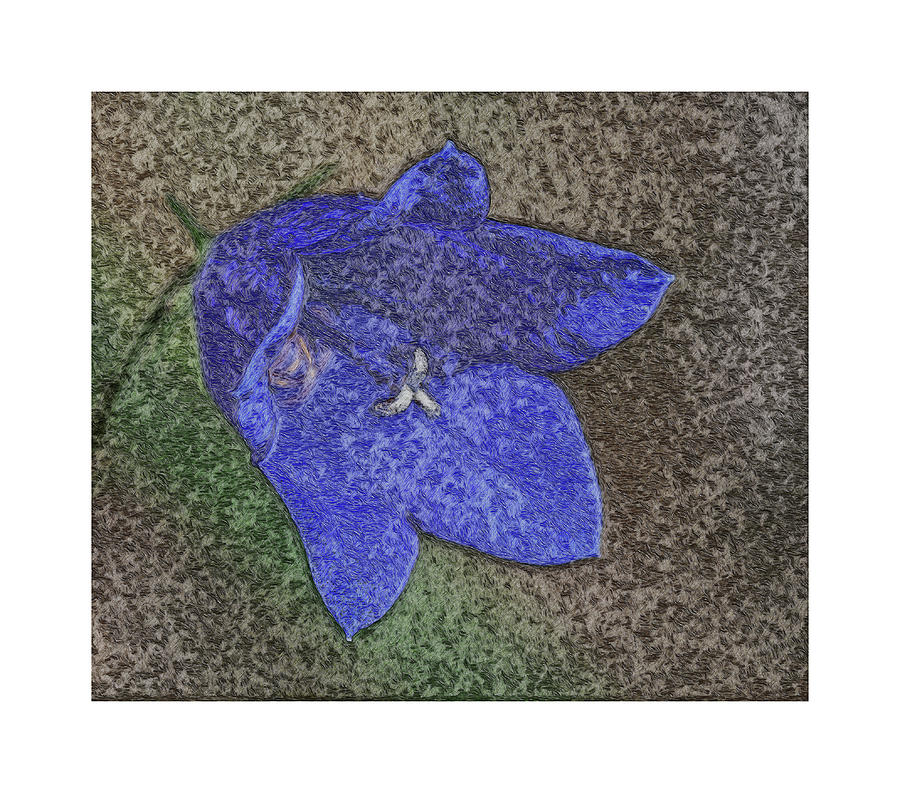Blue flower, rough sketch ca. 2020 Painting by Celestial Images