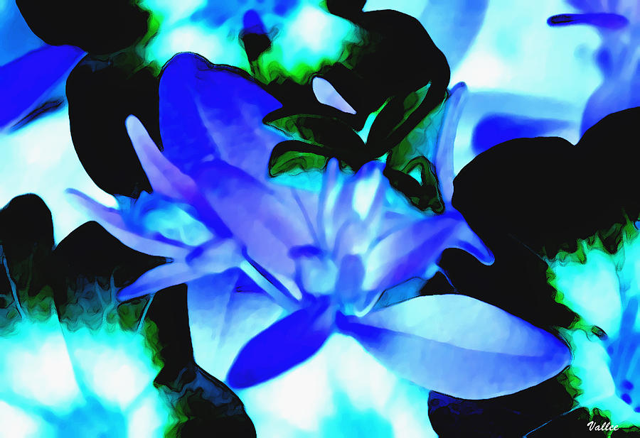 Blue Flower Digital Art by Vallee Johnson