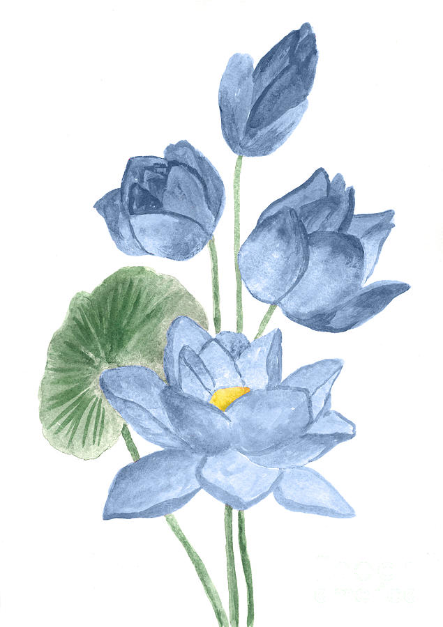 Download Watercolor Painting Illustration Flowers - Watercolor Flower  Drawing Blue PNG Image with No Background - PNGkey.com