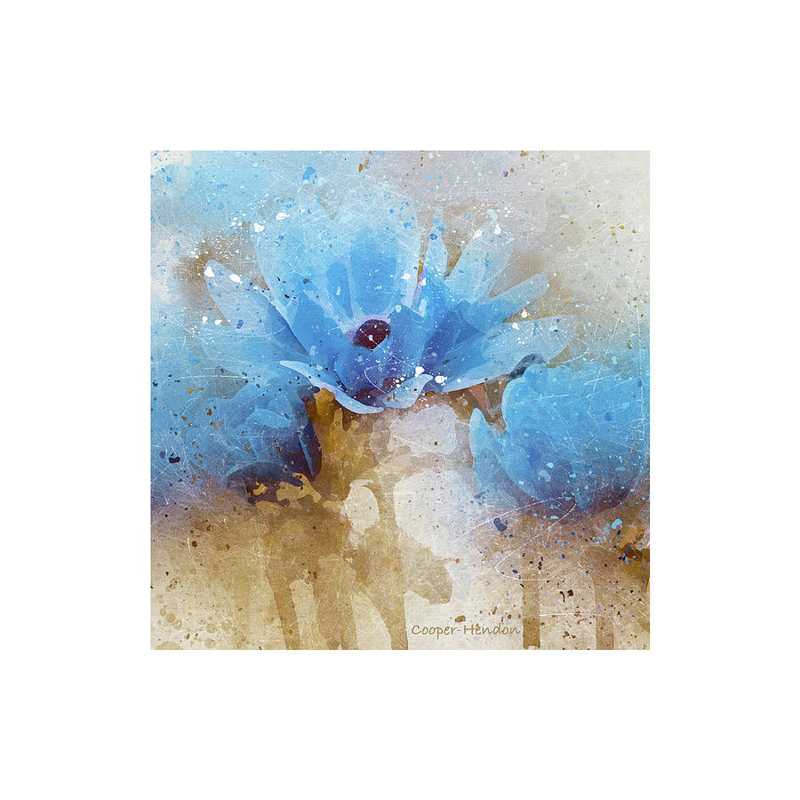 Blue Flowers with self matte Photograph by Peggy Cooper-Hendon