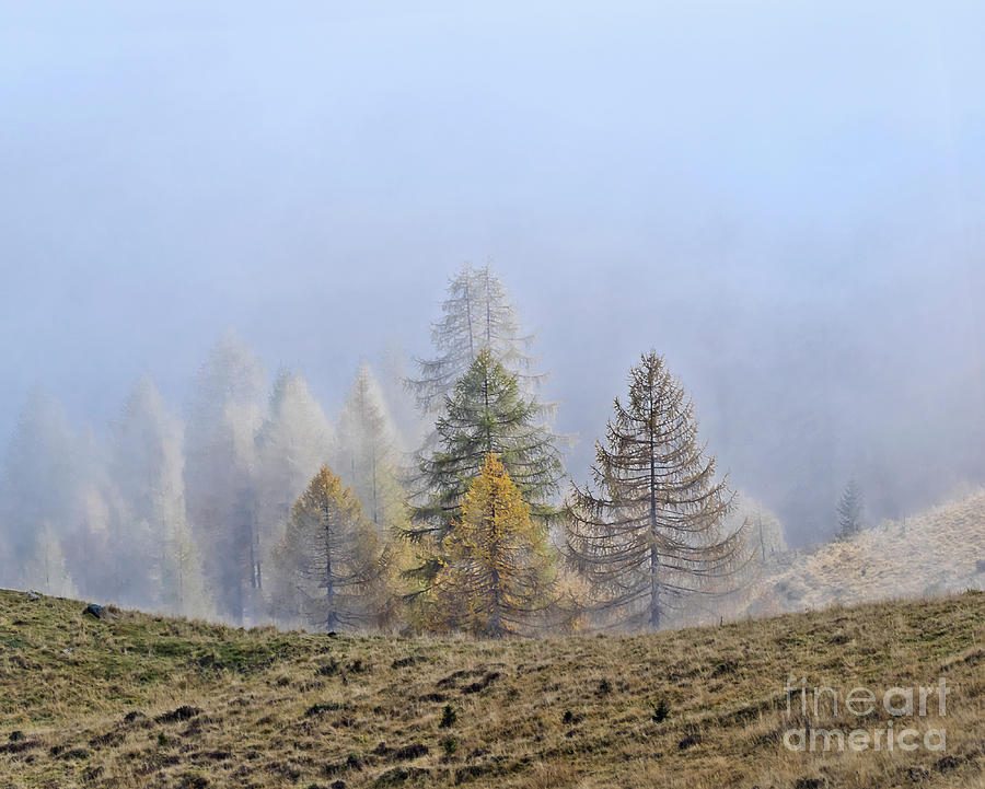 Blue Fog - Golden Hour Photograph by Tatiana Bogracheva