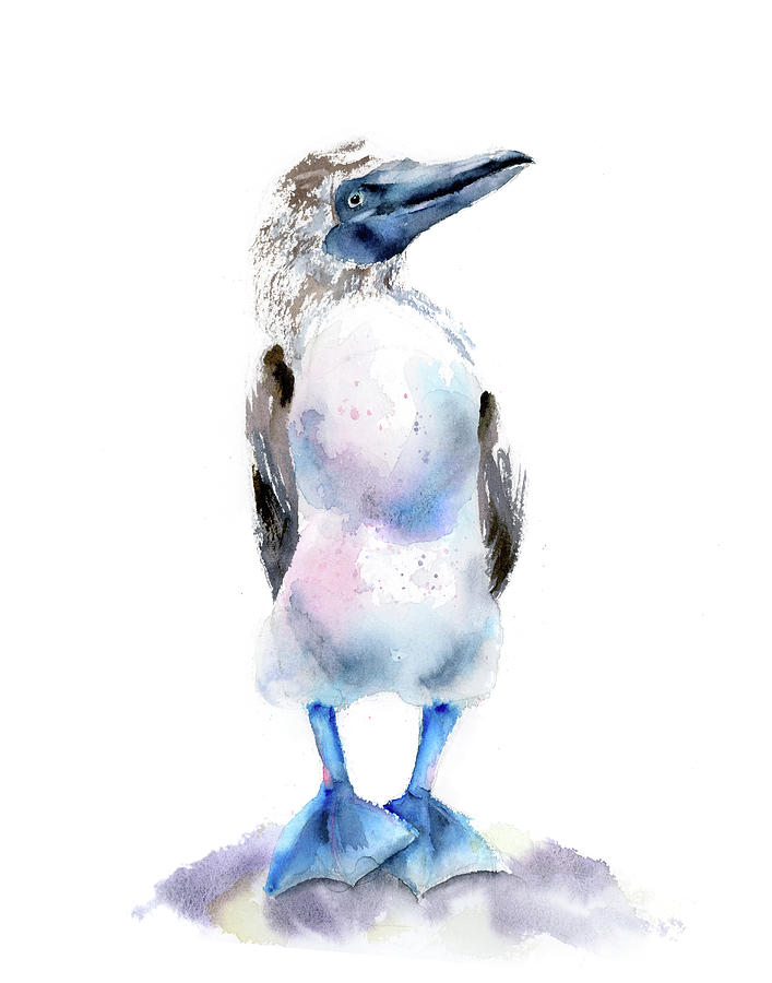 Wildlife Painting - Blue footed booby bird by Paintis Passion