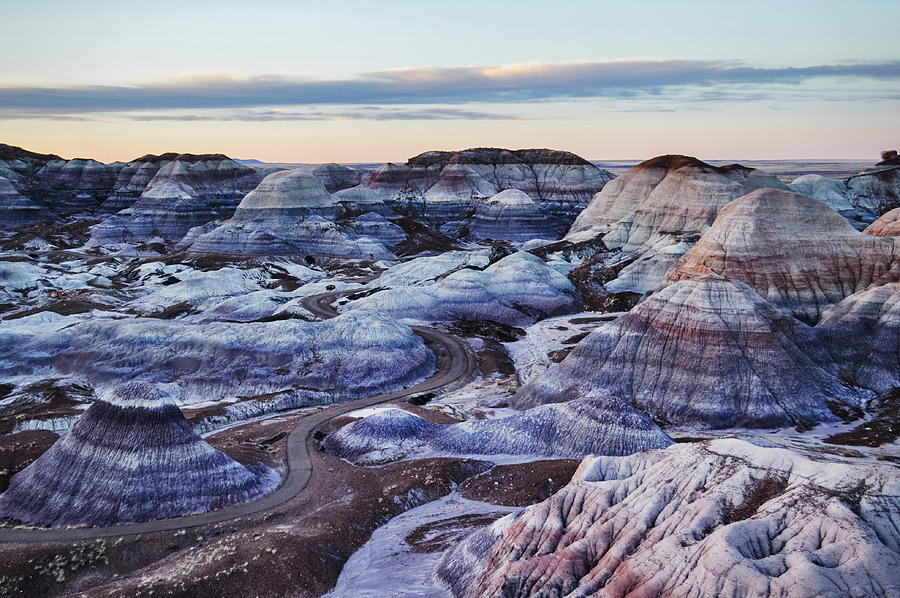 Blue Forest Painted Desert Photograph by Kyle Hanson