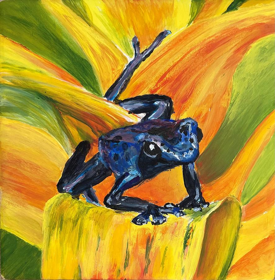 Blue frog Photograph by Carolina Jeanne Grace - Fine Art America