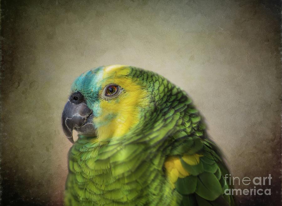 Wildlife Photograph - Blue-Fronted Parrot by Eva Lechner