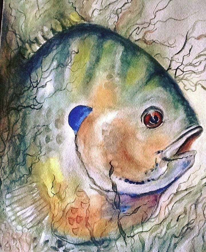 Blue Gill Painting By Brenda Golden Griffis 