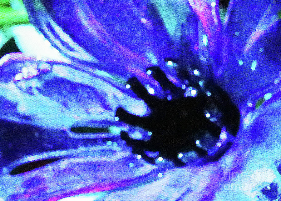 Blue Glass Flower Photograph by Tina Uihlein